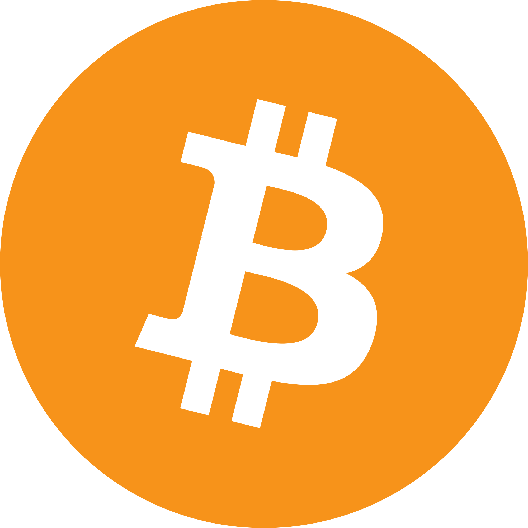 Bitcoin FAST